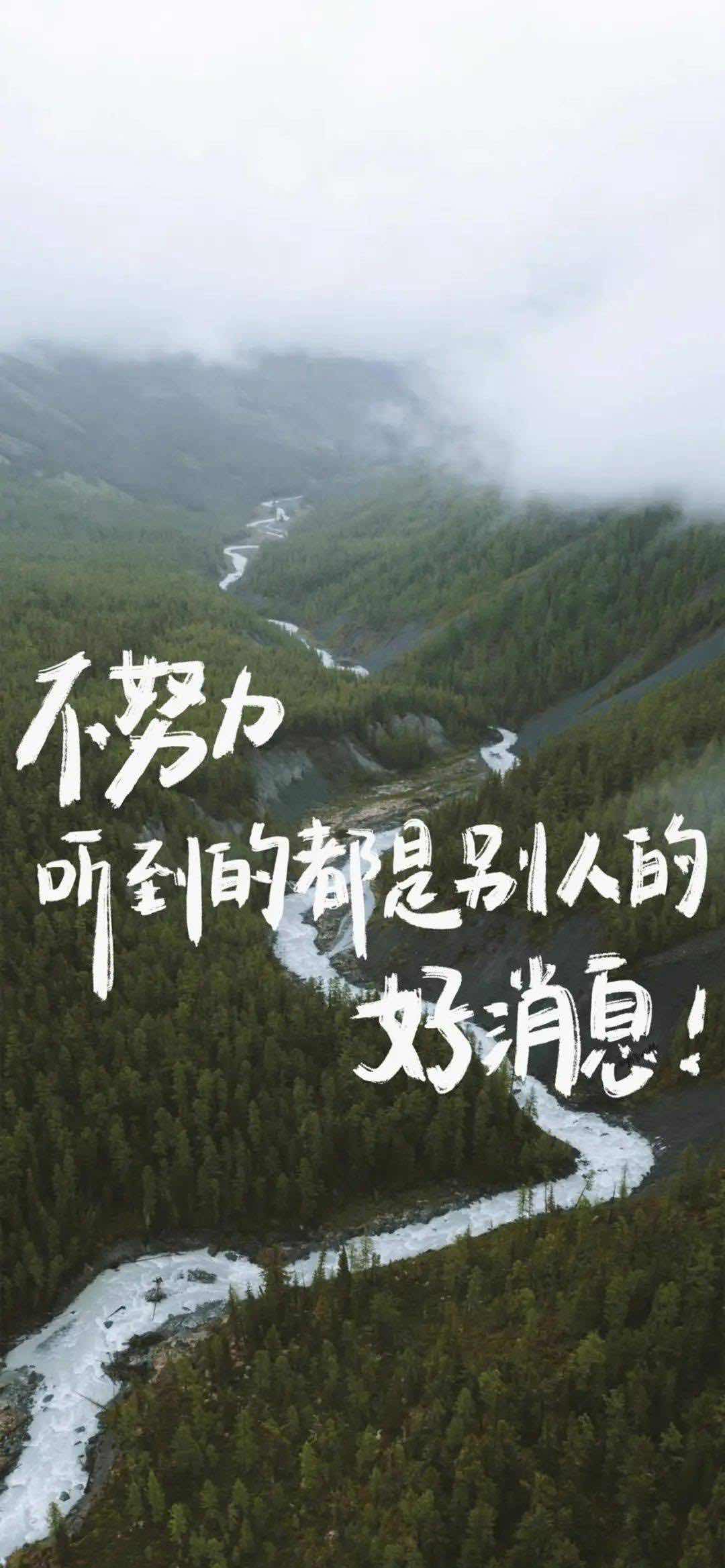 加载失败
