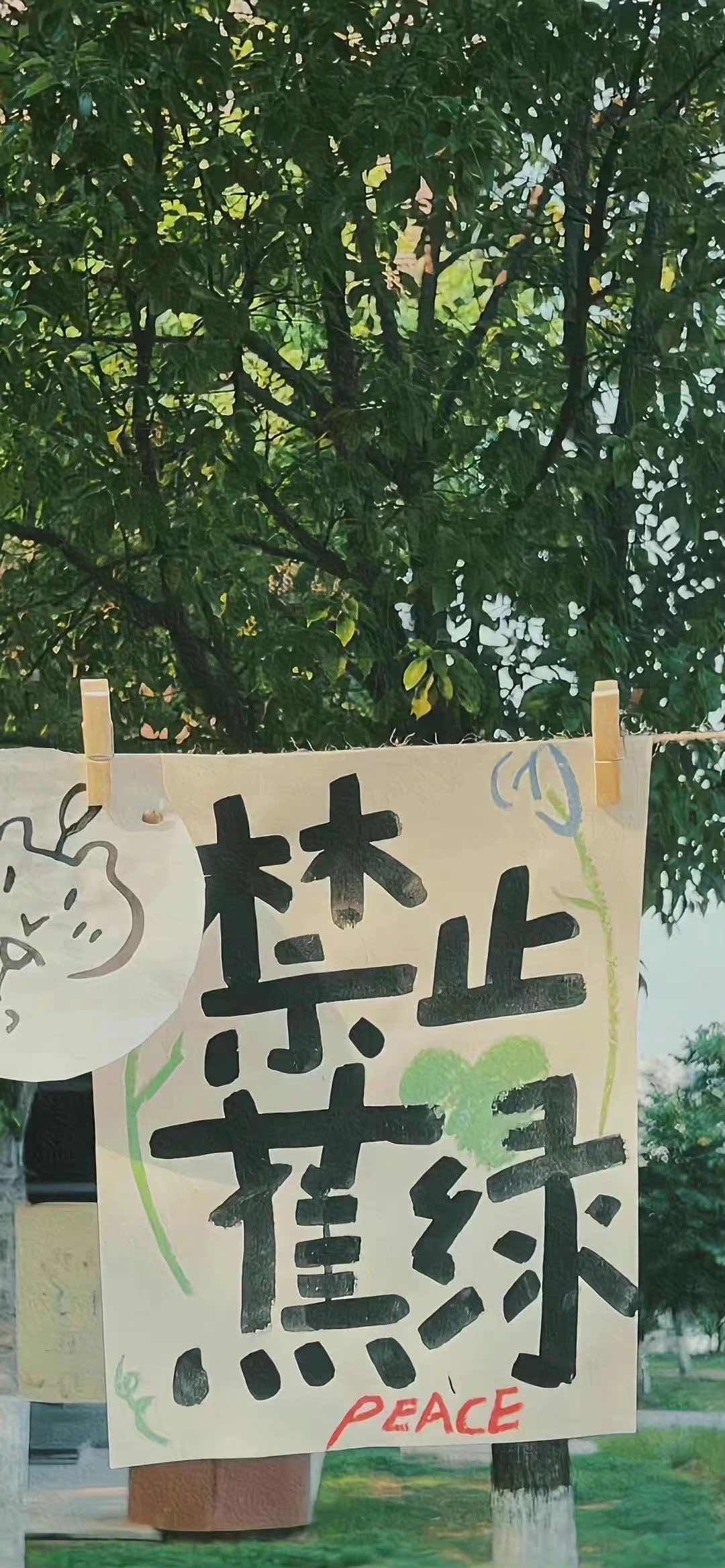 加载失败