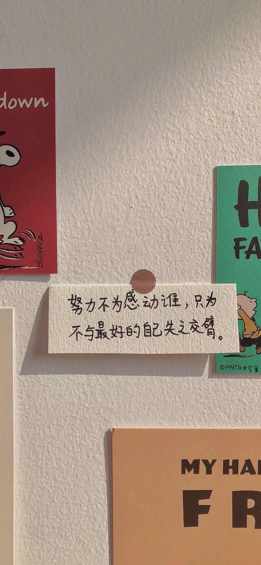 加载失败