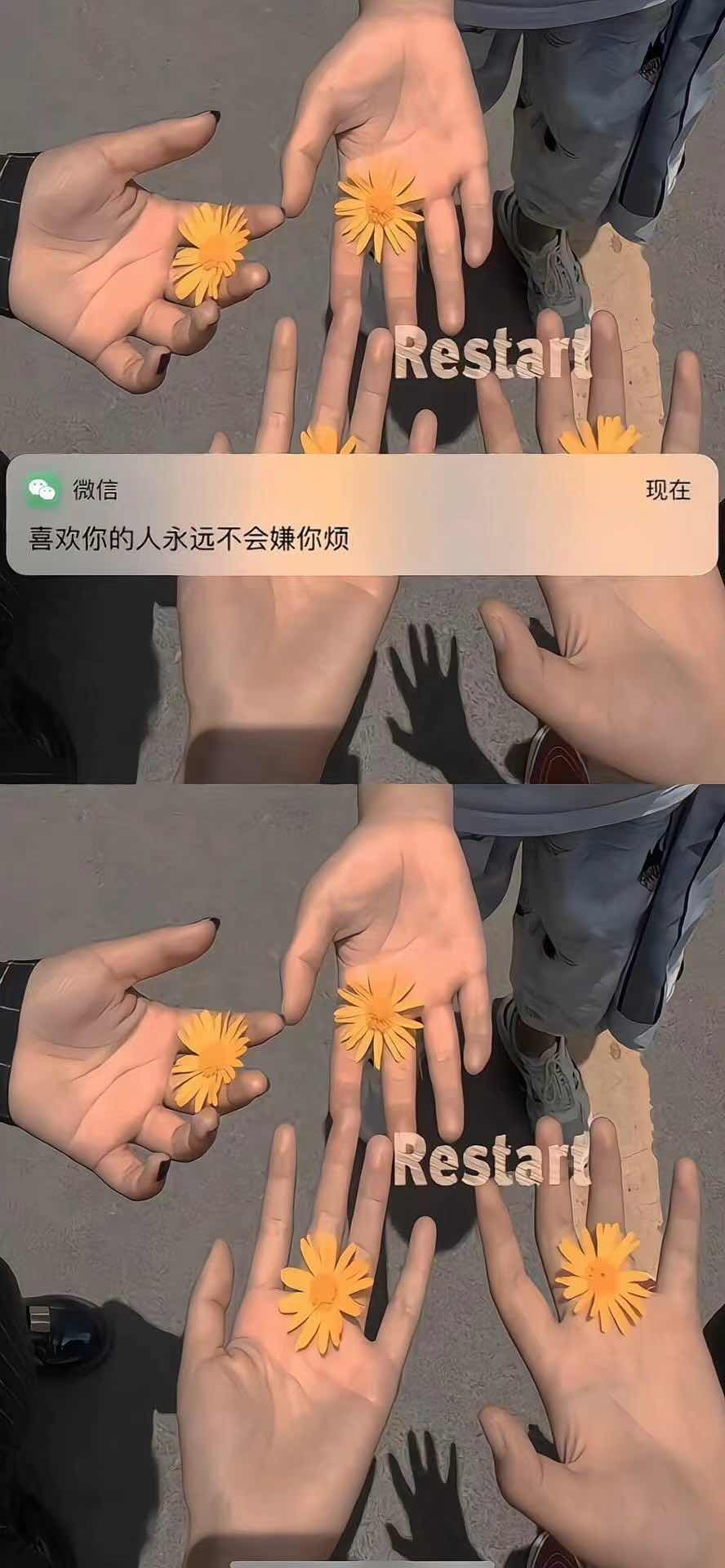加载失败