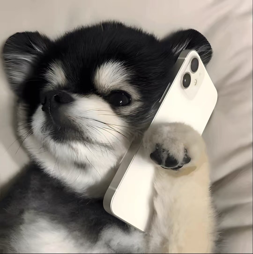加载失败