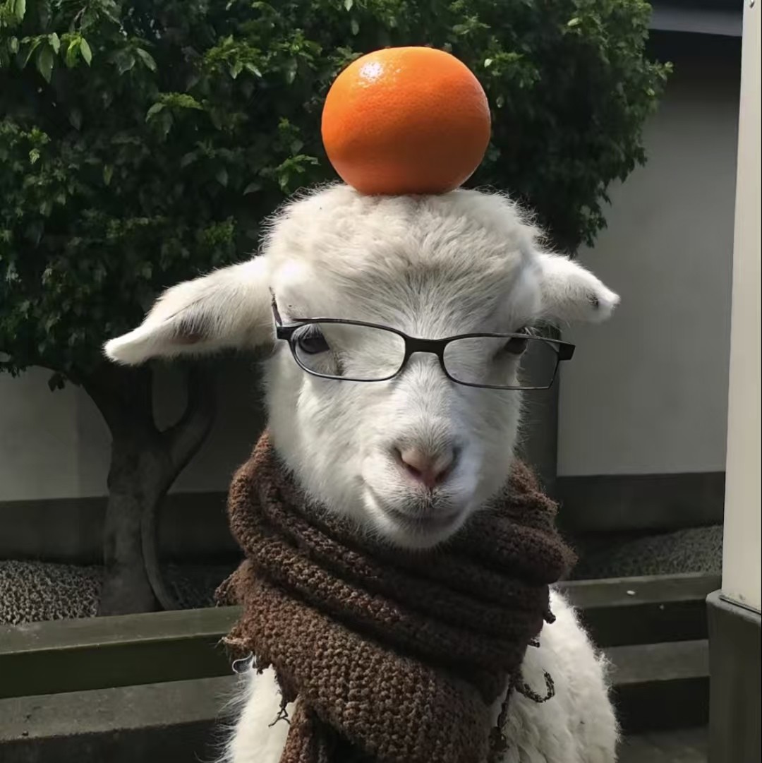 加载失败