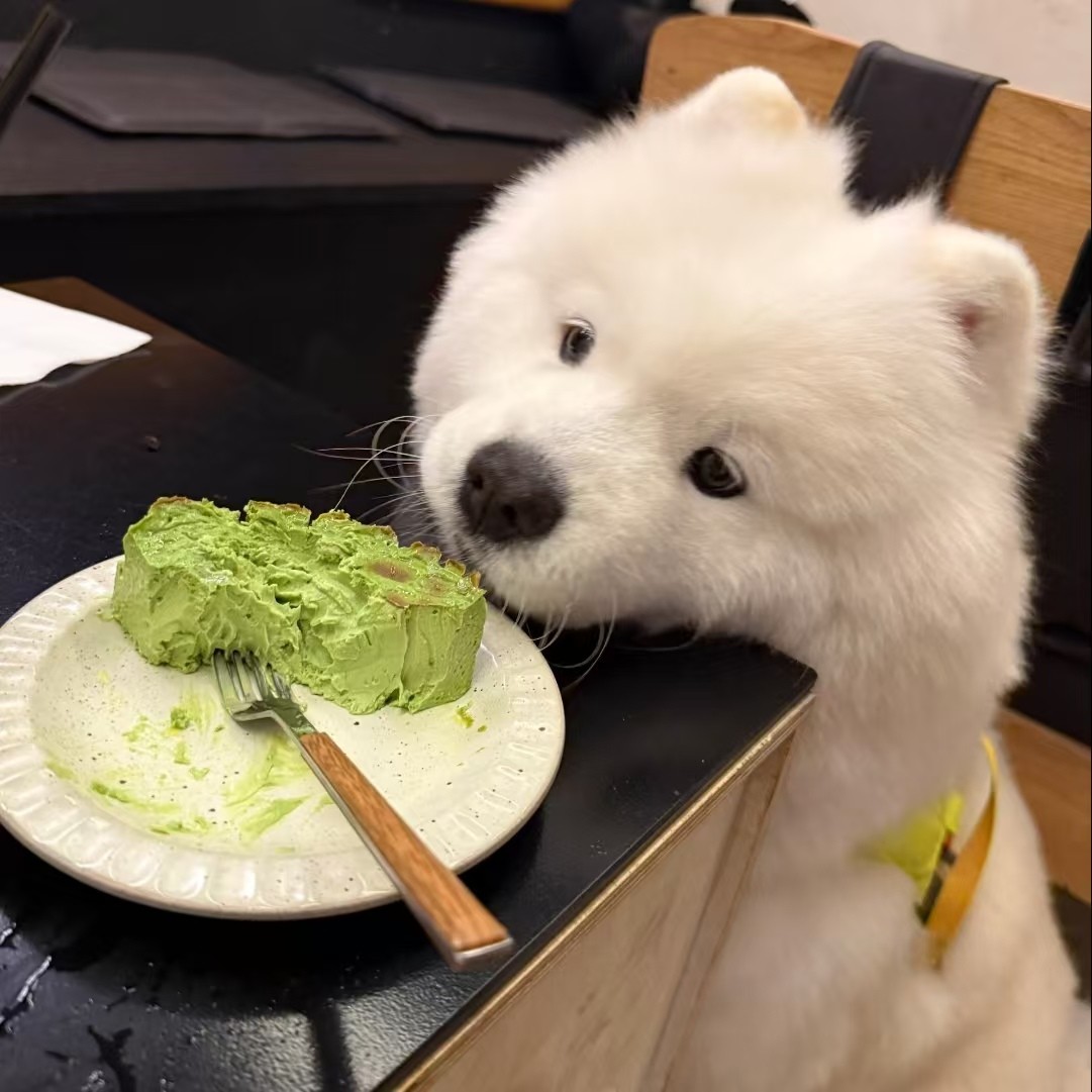 加载失败