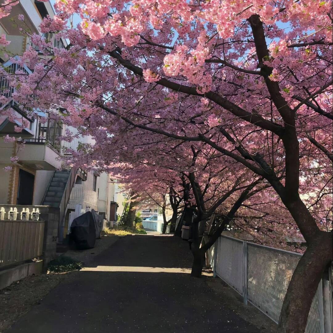 加载失败