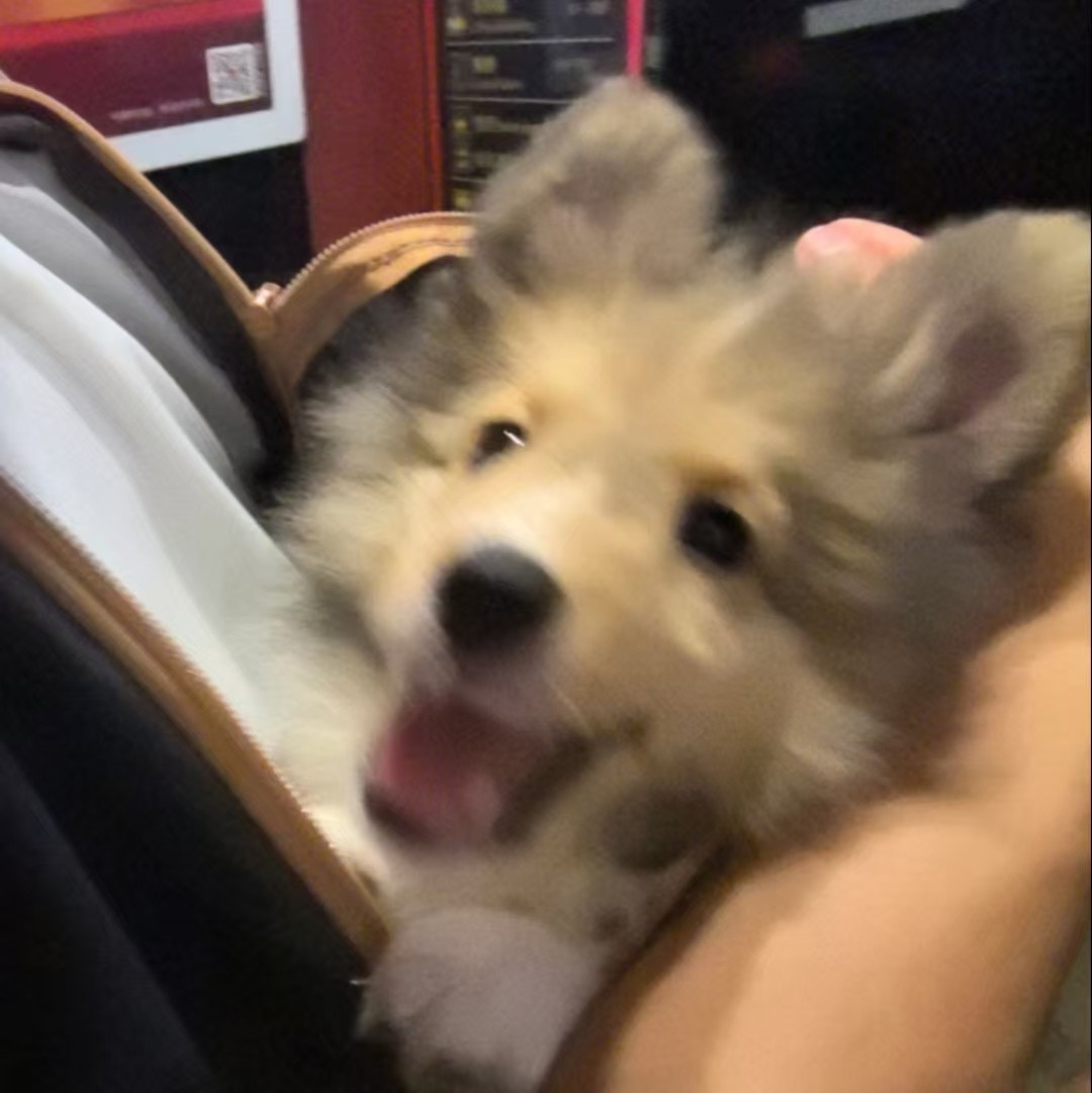 加载失败
