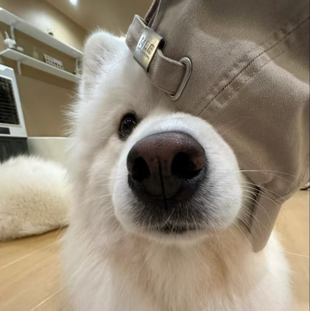 加载失败