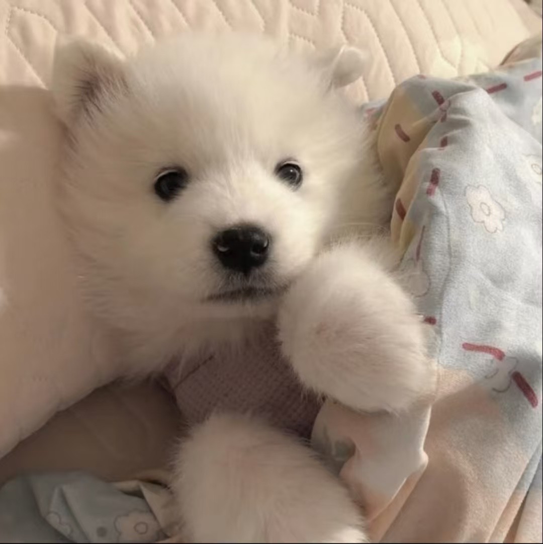 加载失败