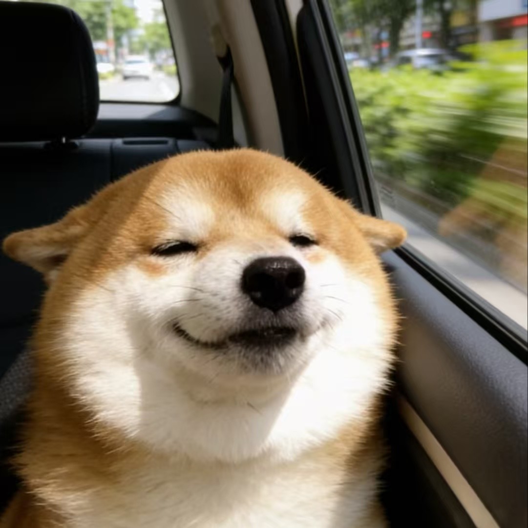 加载失败