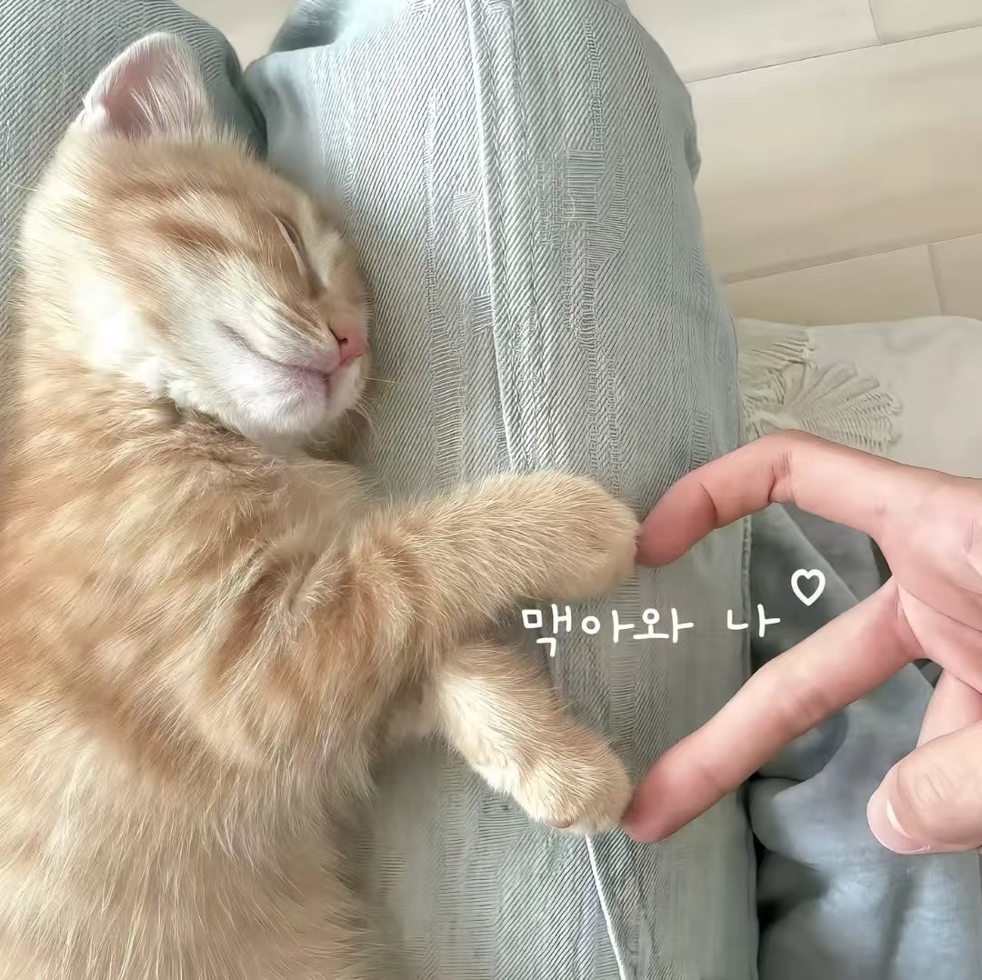 加载失败