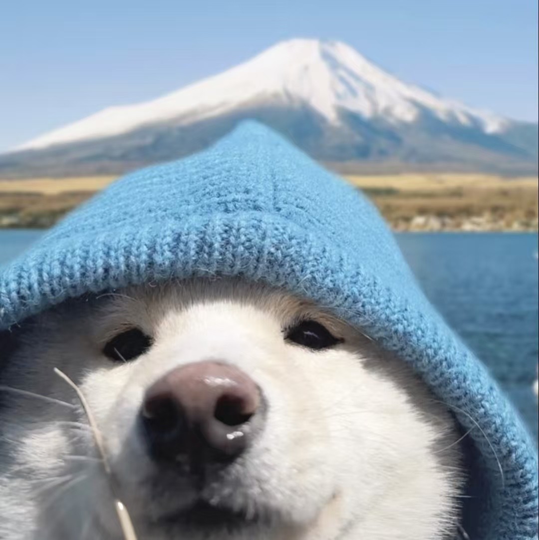 加载失败