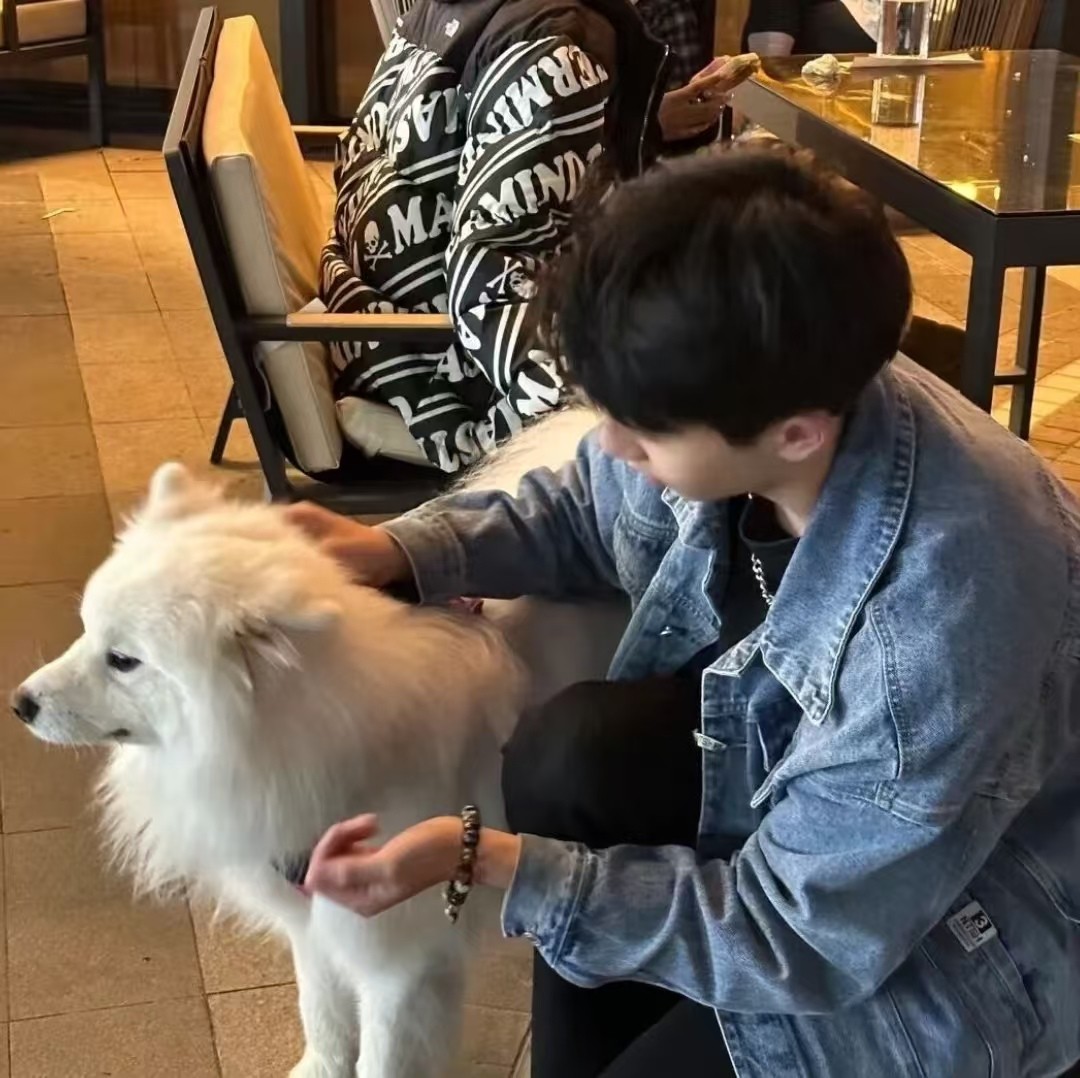 加载失败