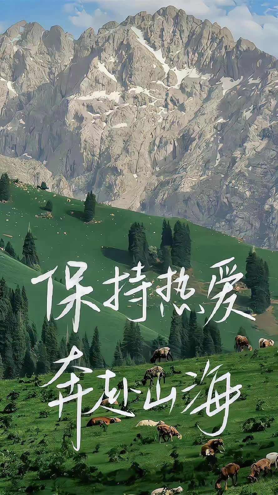 加载失败