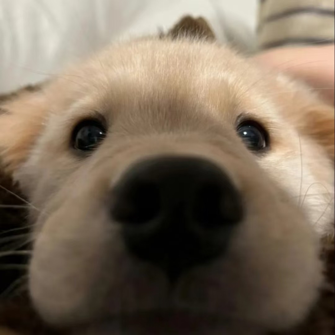 加载失败