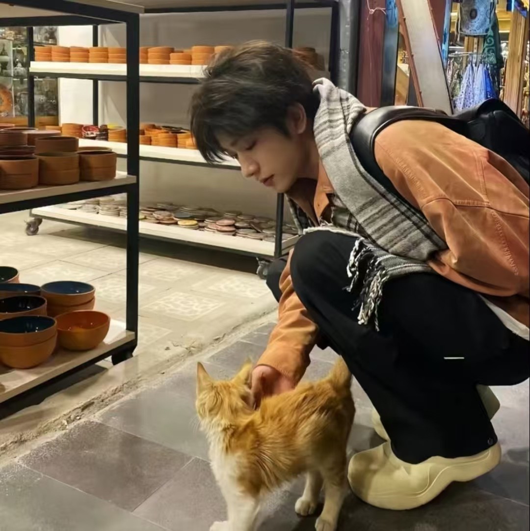 加载失败