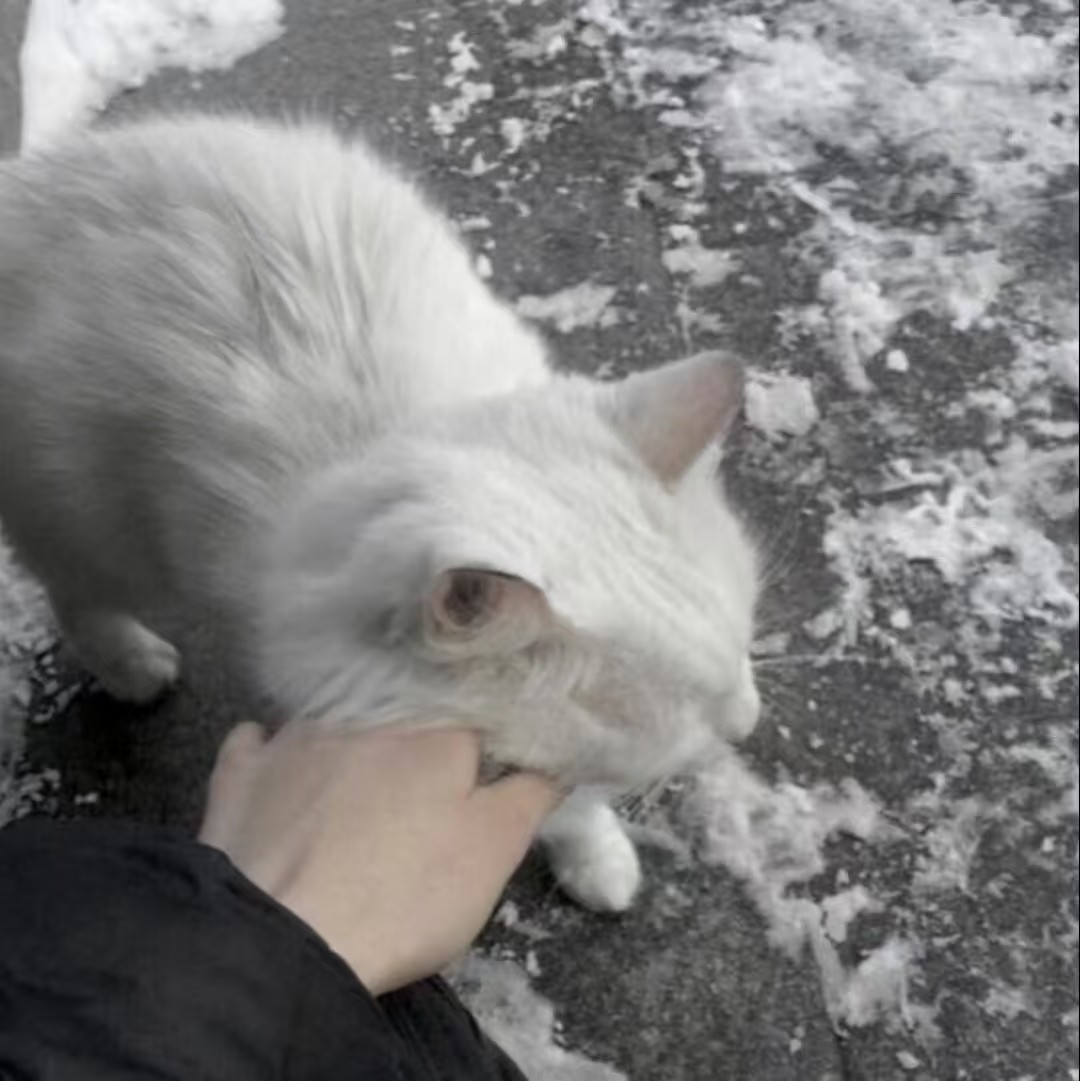 加载失败