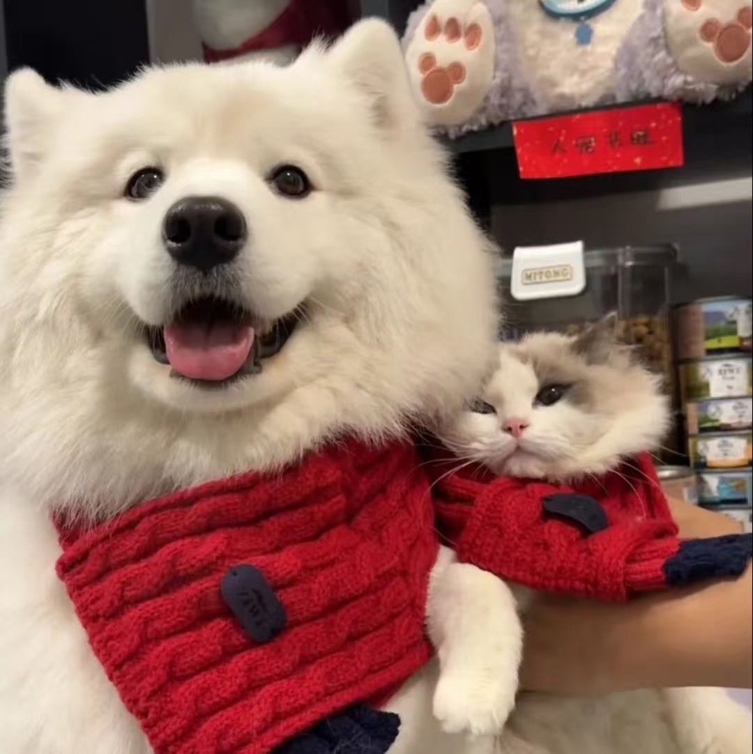 加载失败