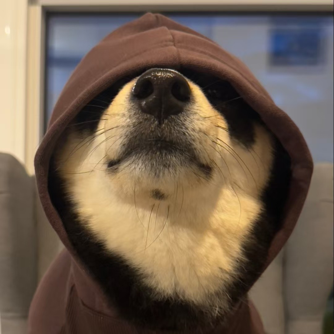 加载失败