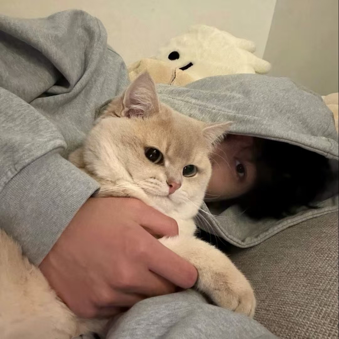 加载失败