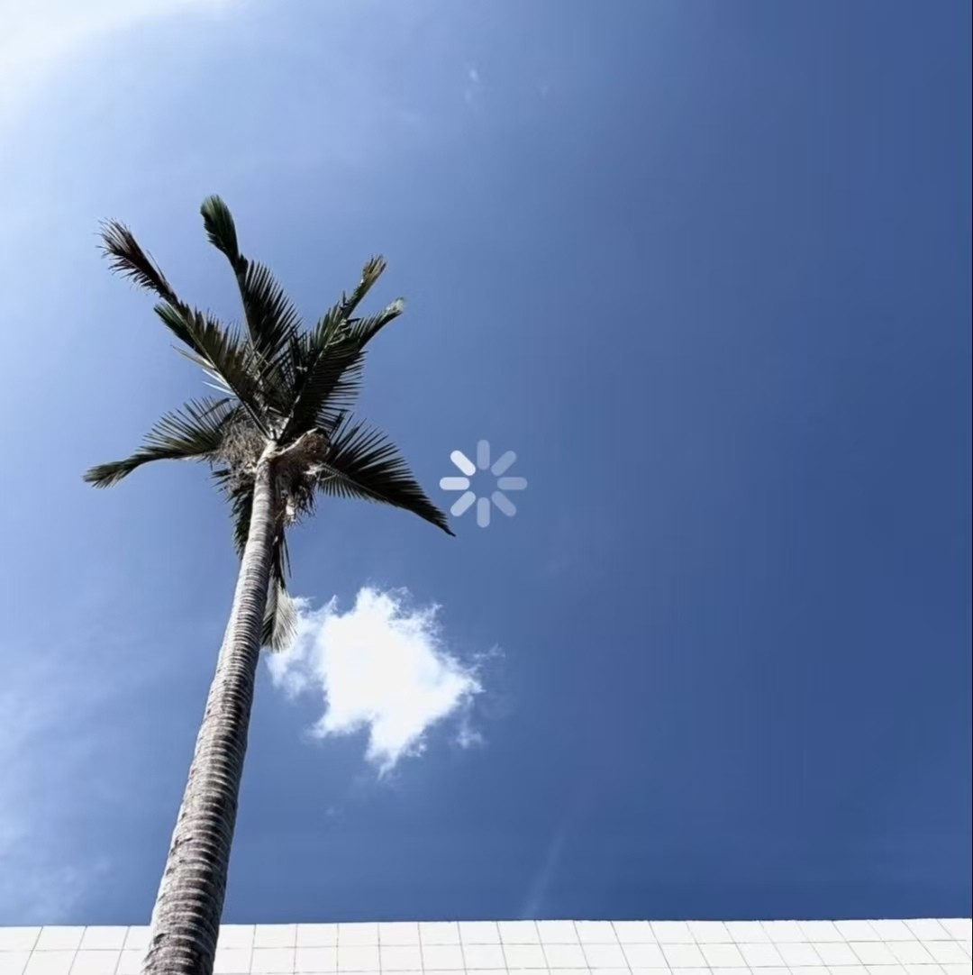 加载失败