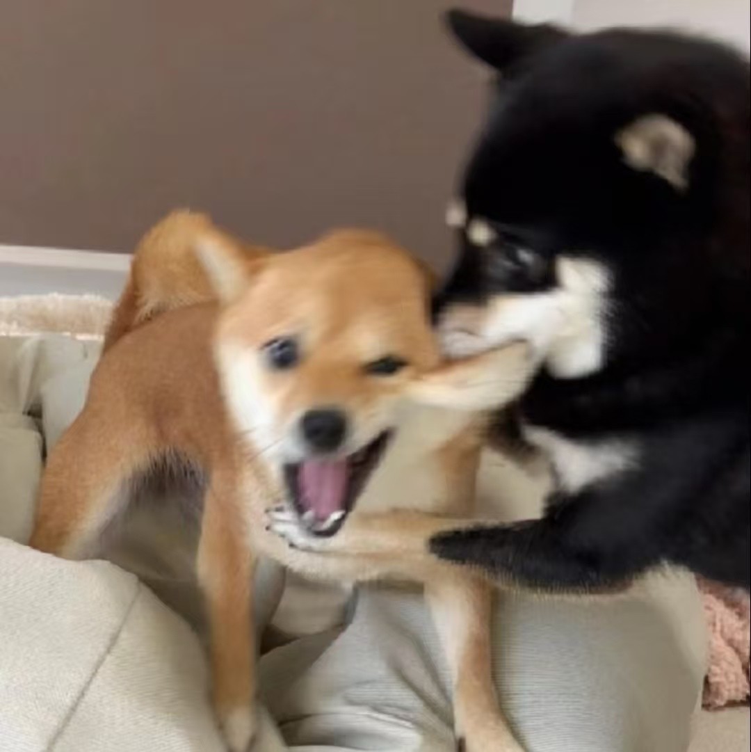 加载失败