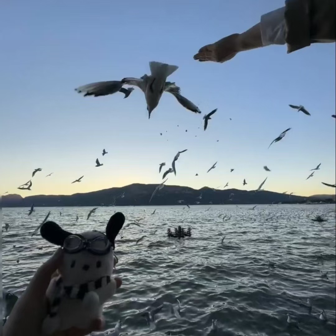加载失败