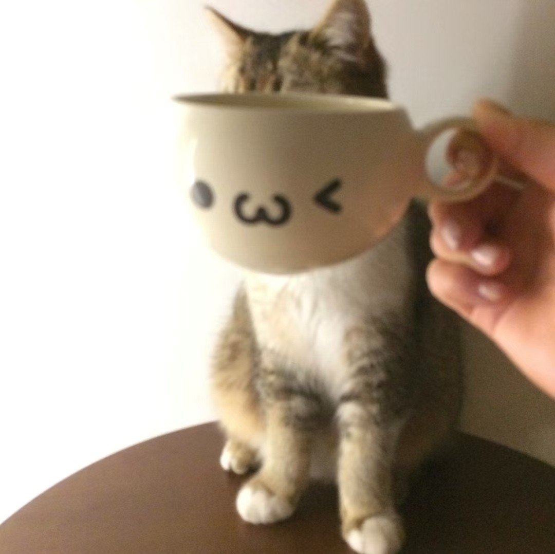 加载失败