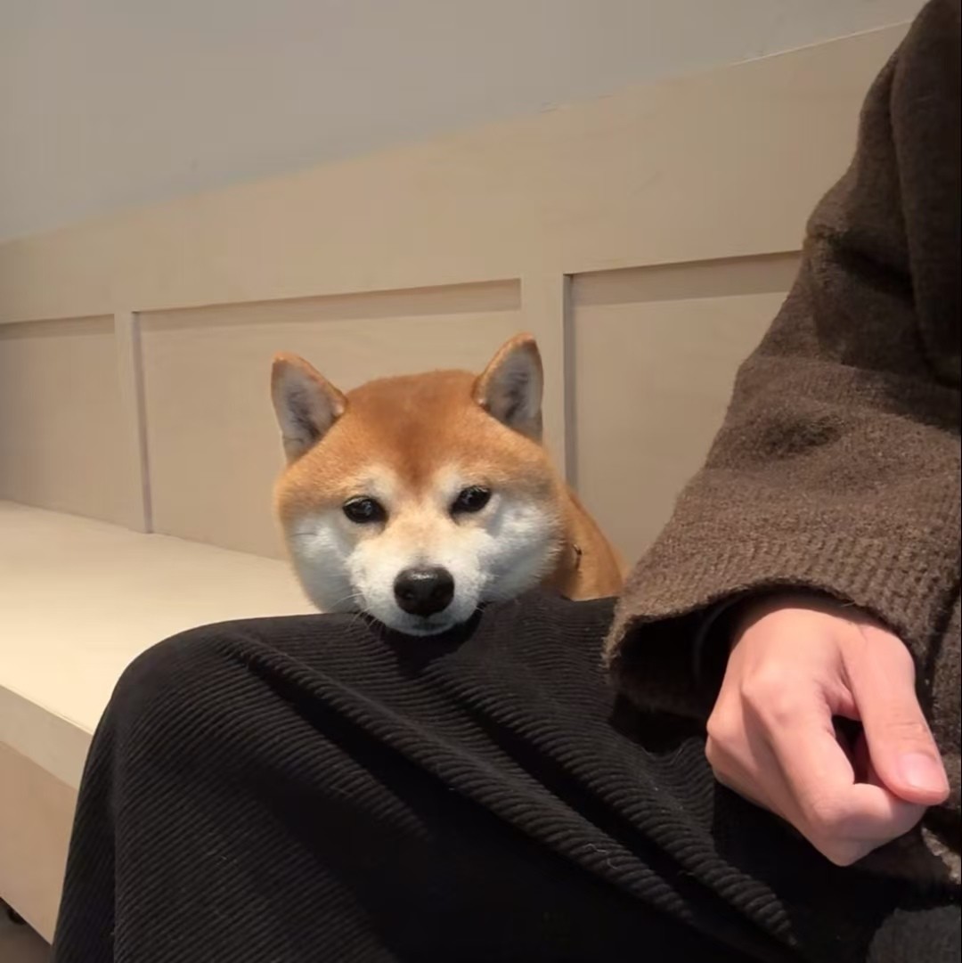 加载失败
