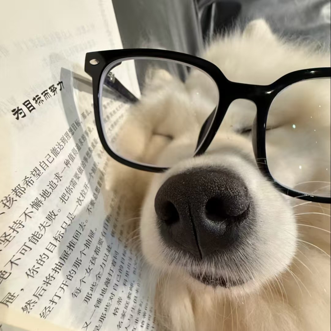 加载失败