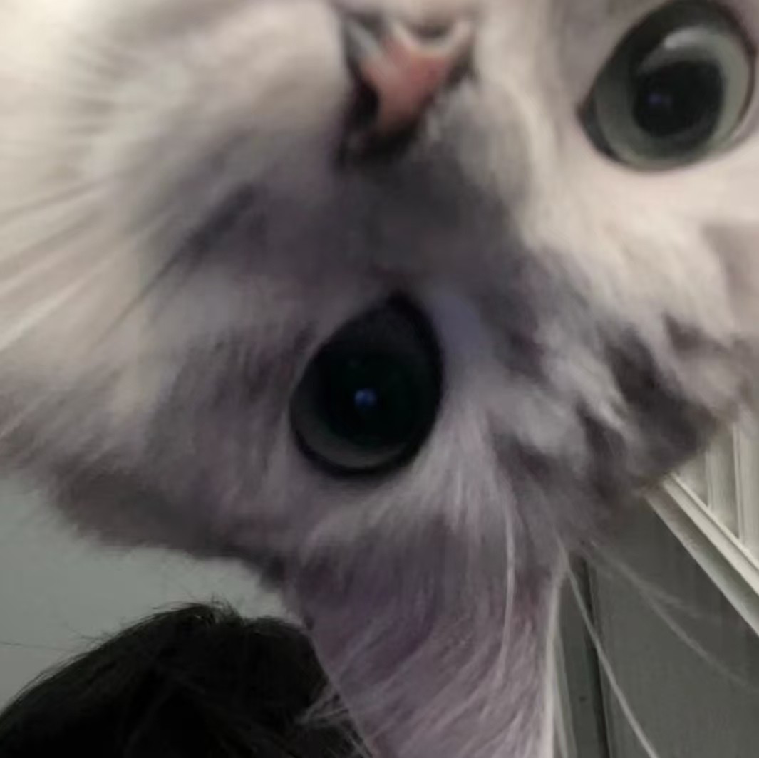 加载失败