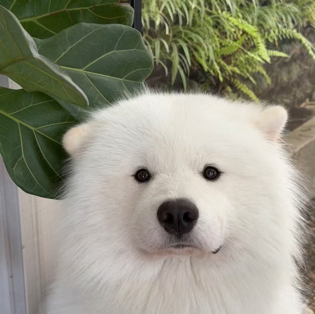 加载失败