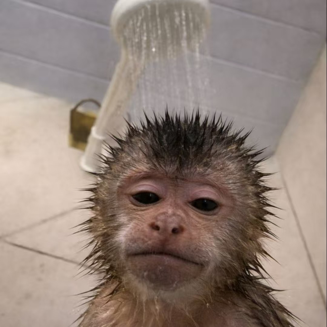 加载失败