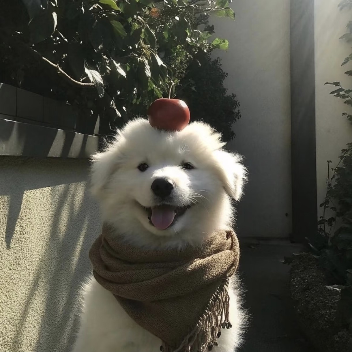 加载失败