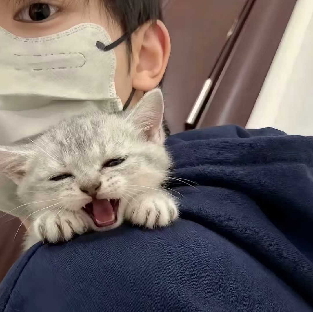 加载失败