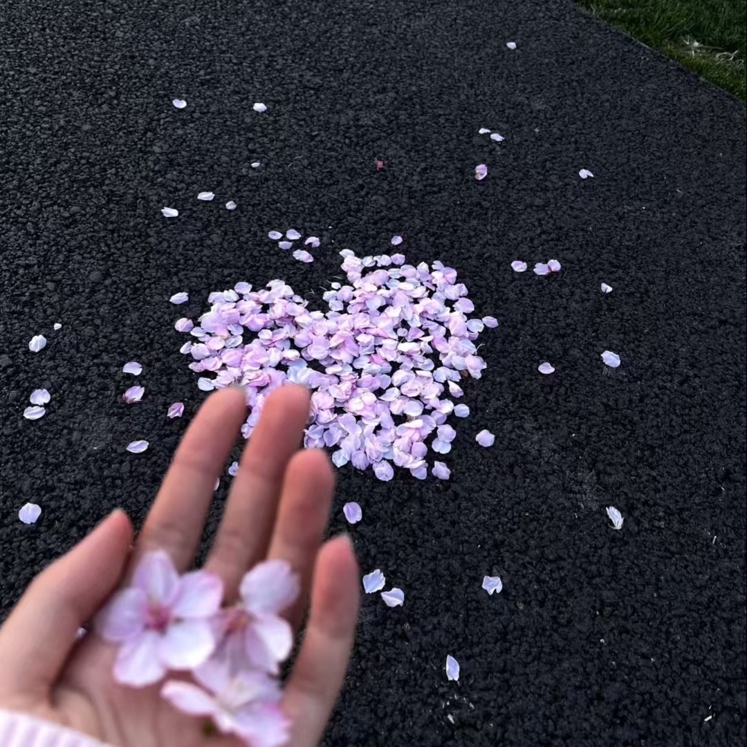 加载失败