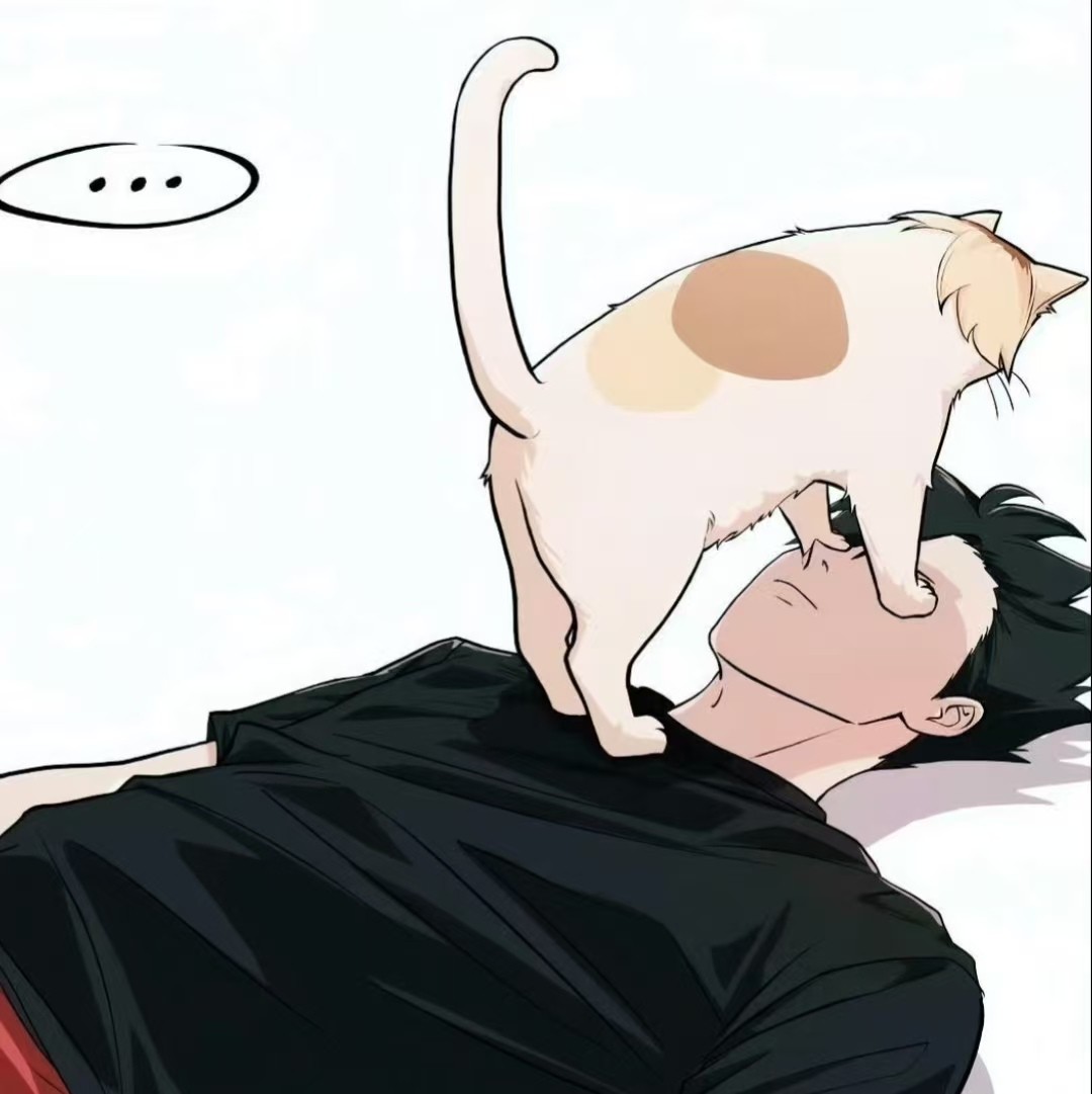 加载失败