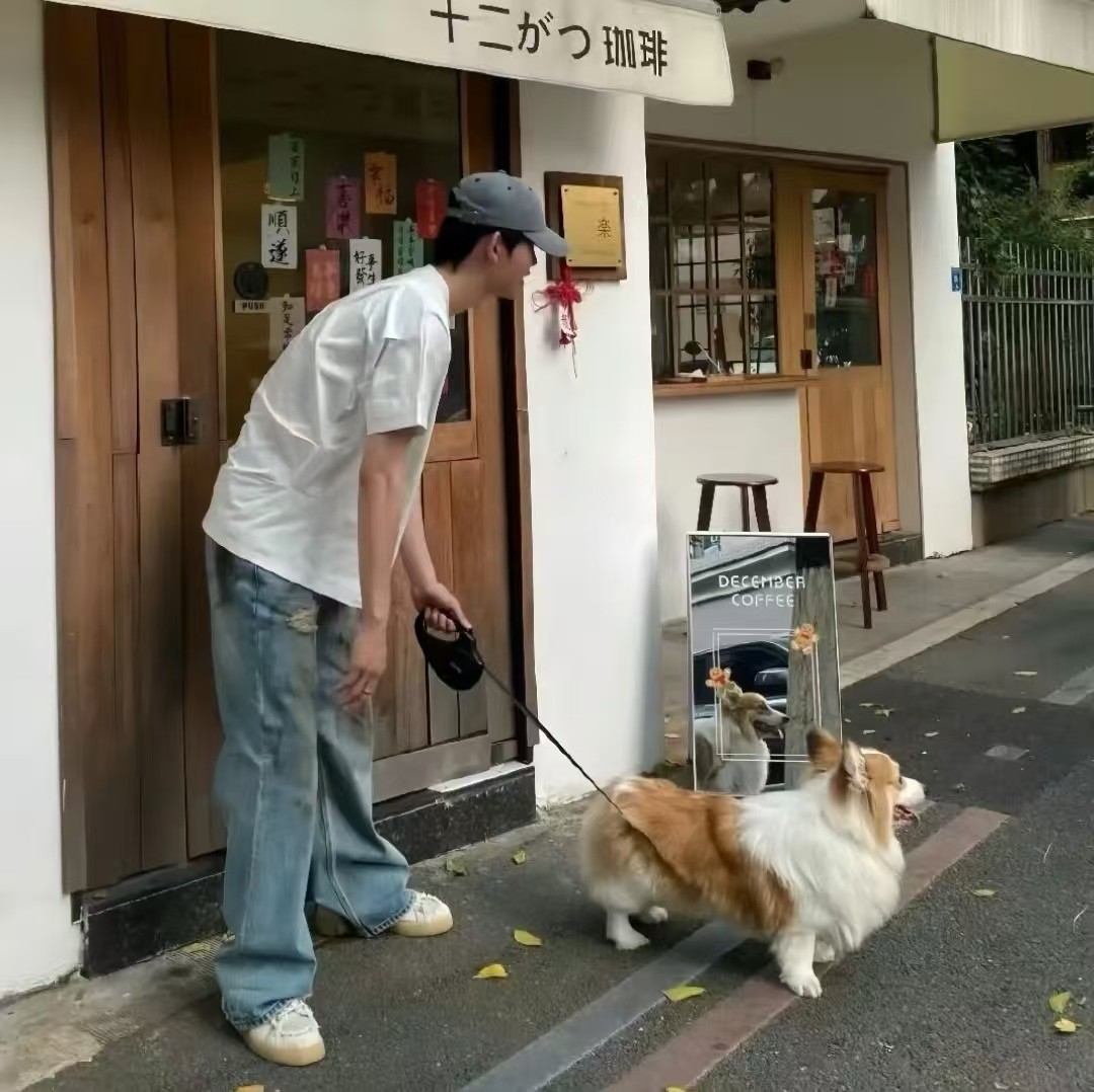 加载失败