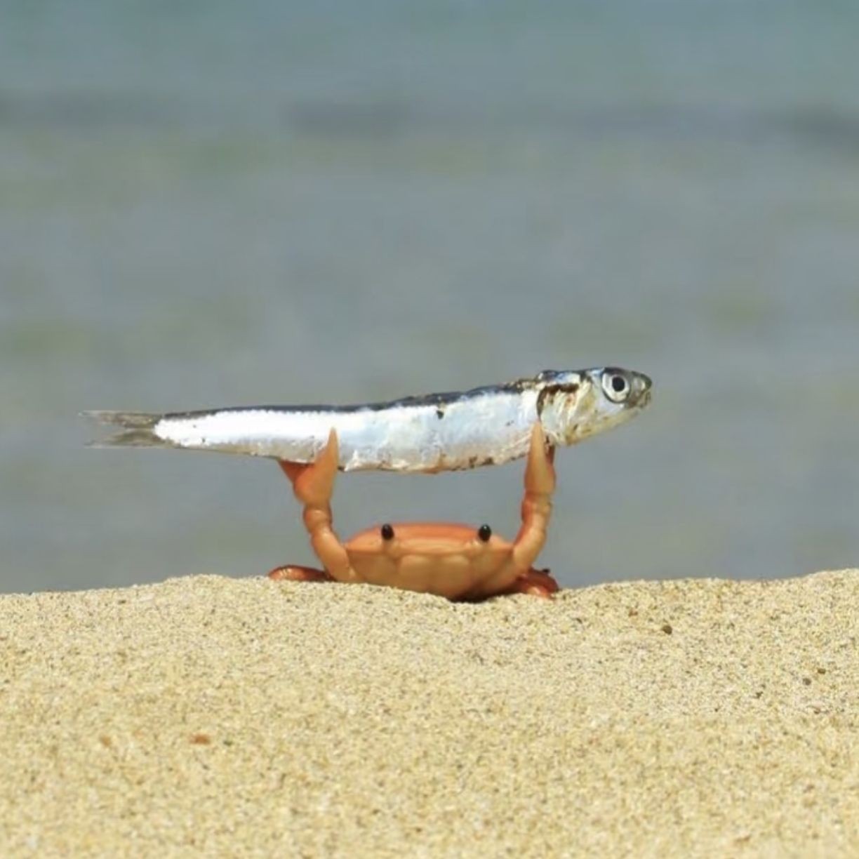 加载失败