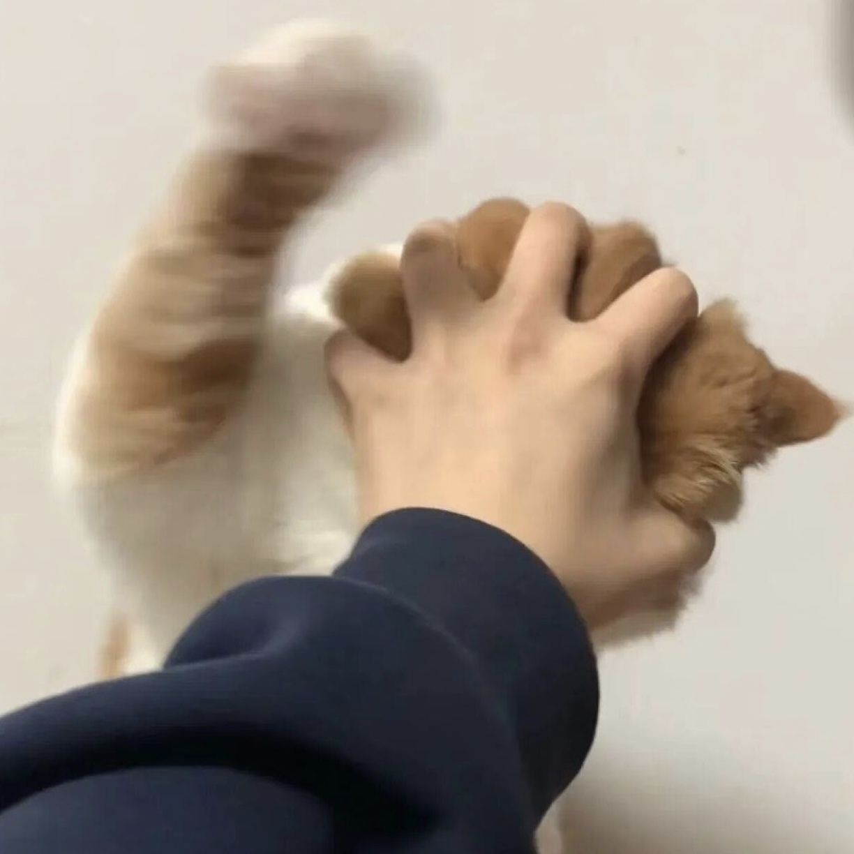 加载失败