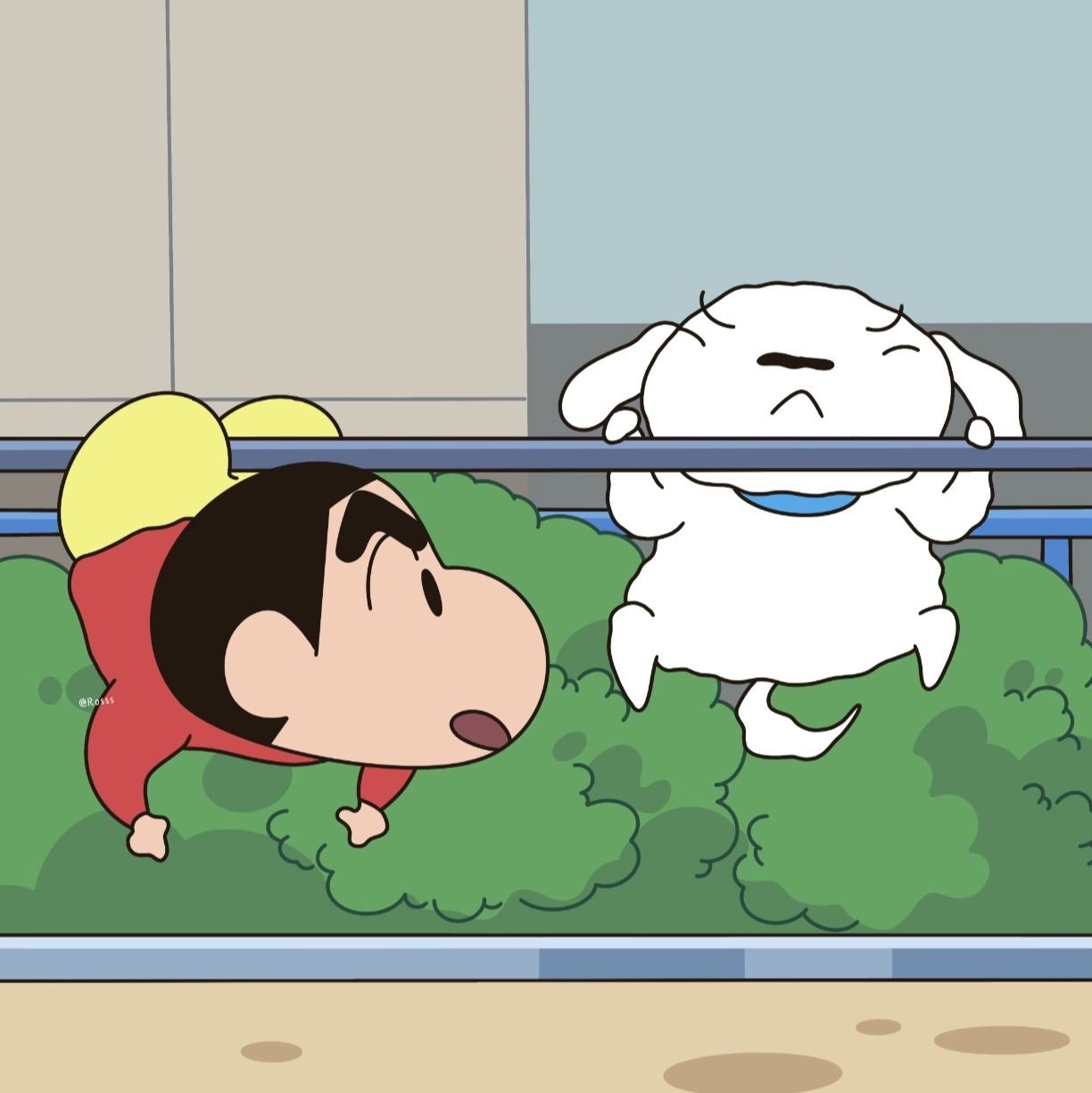 加载失败