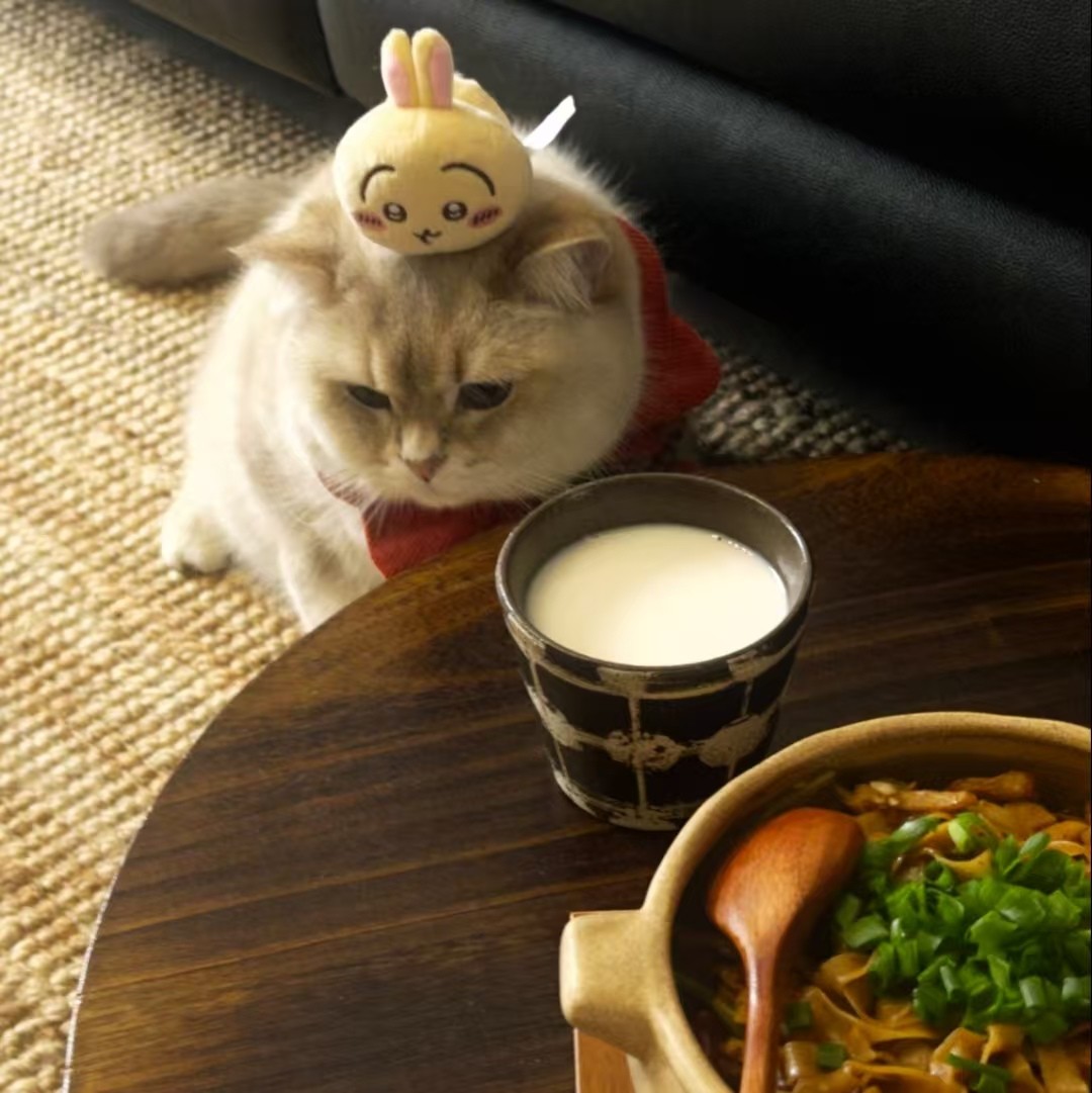加载失败