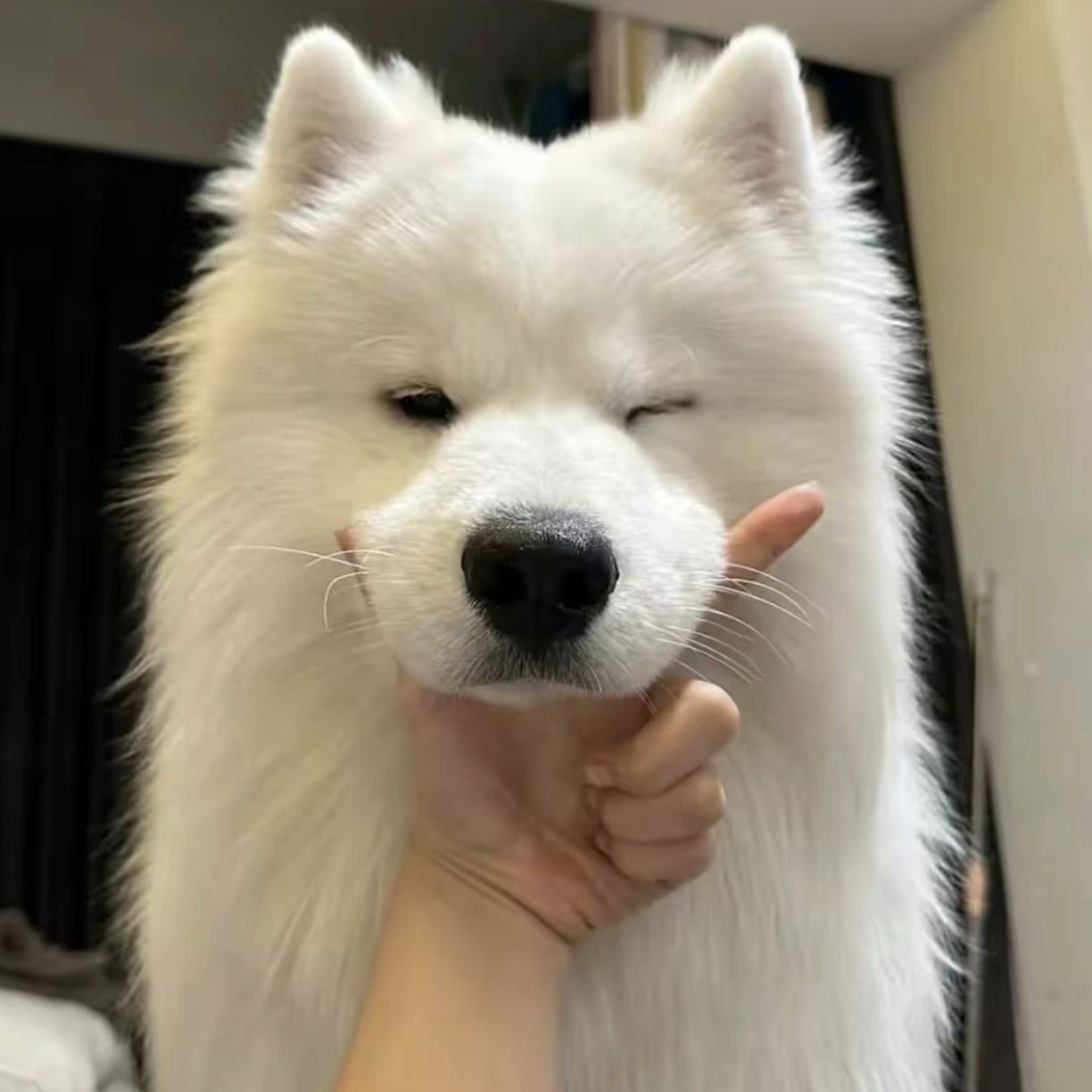 加载失败