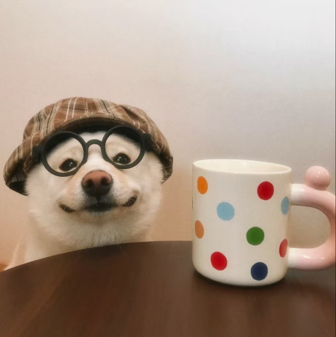 加载失败