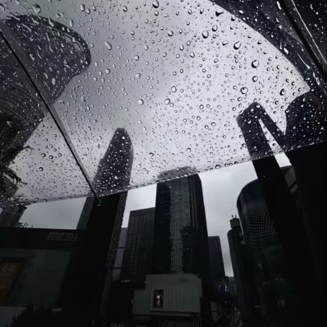 加载失败