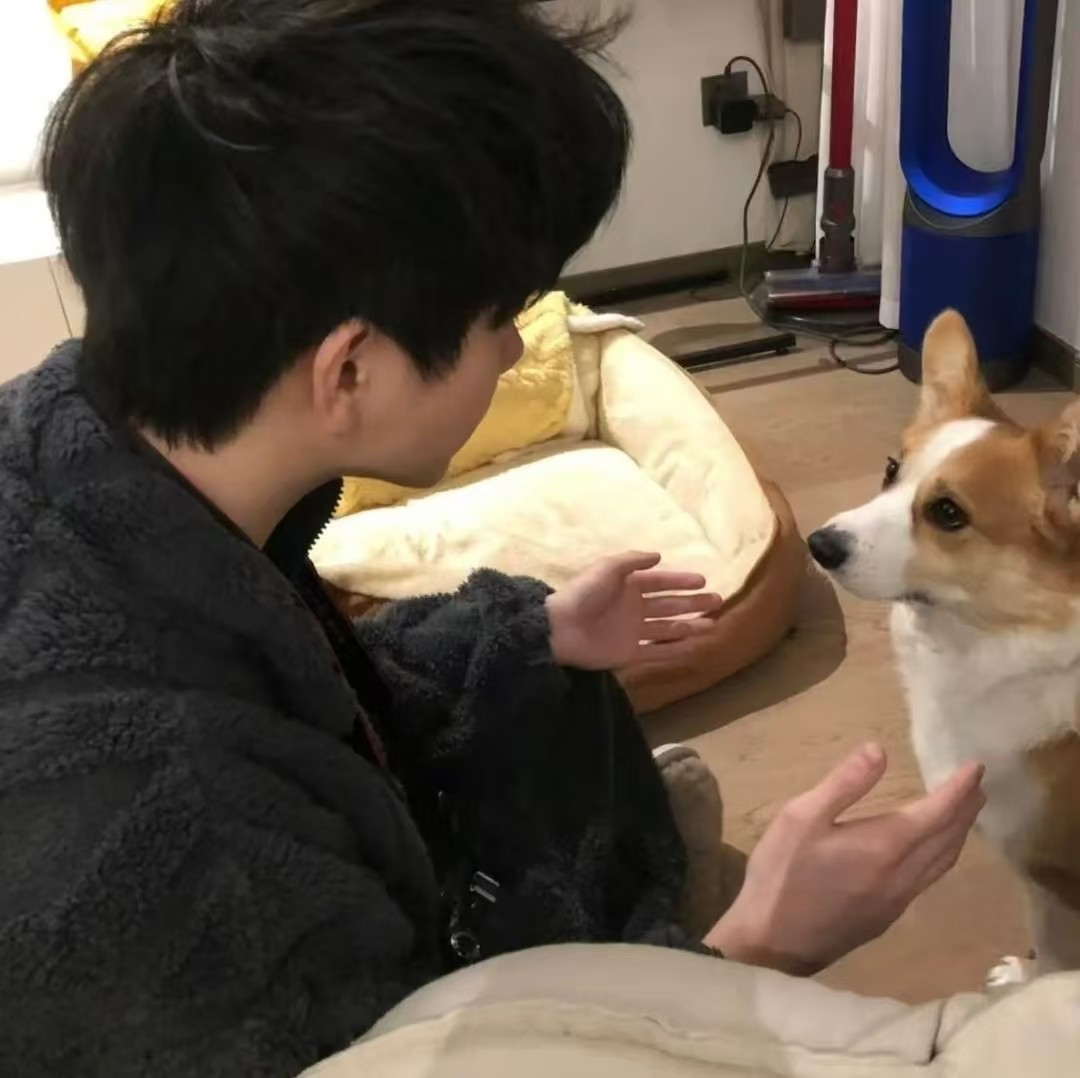 加载失败