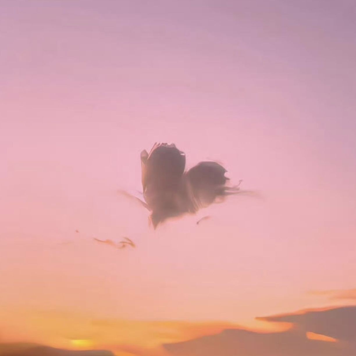加载失败