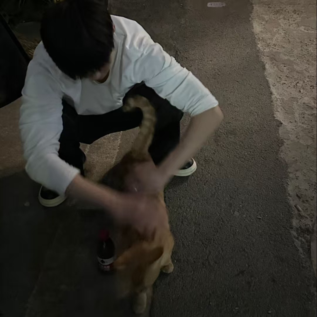 加载失败