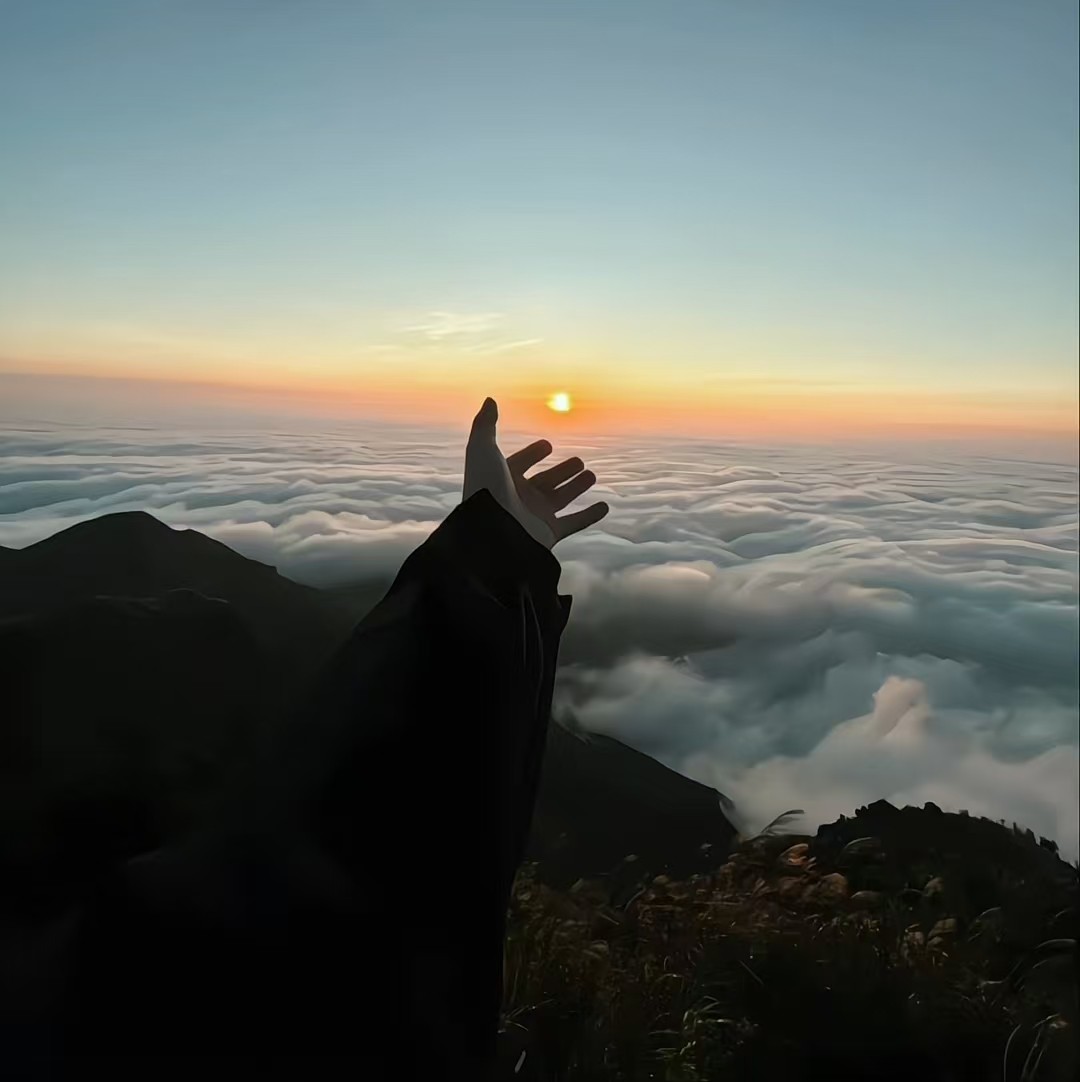 加载失败