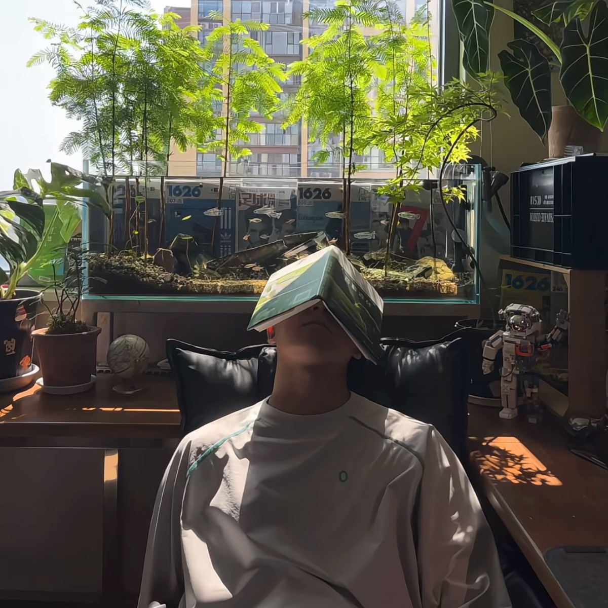 加载失败