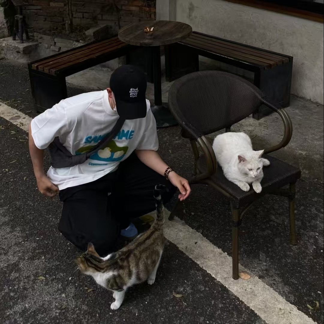 加载失败