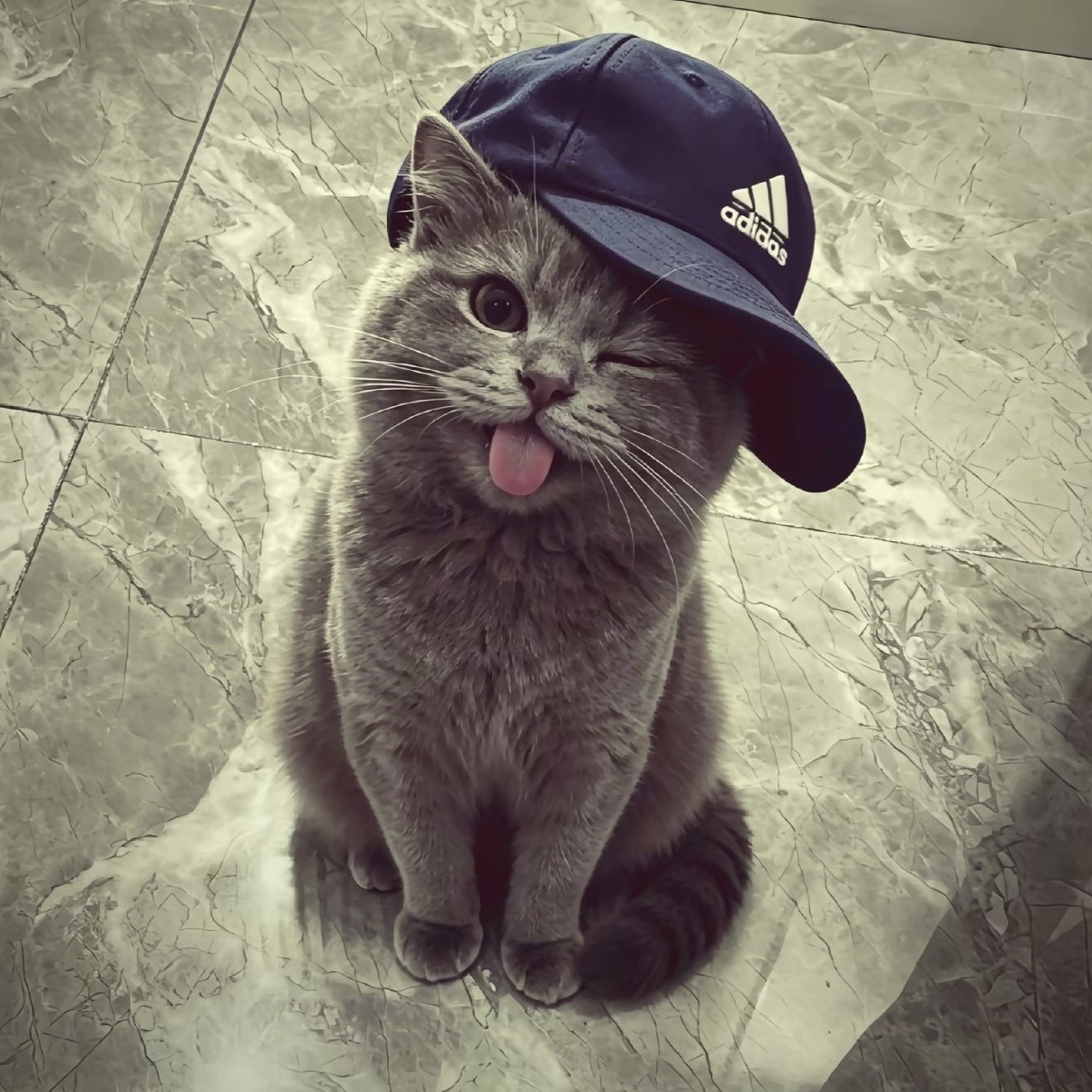 加载失败